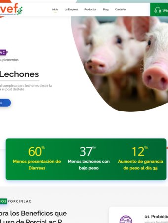 Página Web BIOVEF